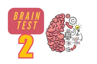 Brain Test 2